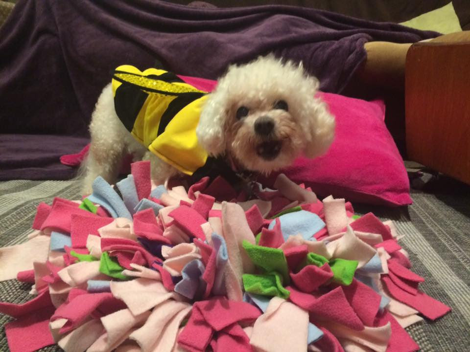 Snuffle mat for dogs Ruffle Snuffle