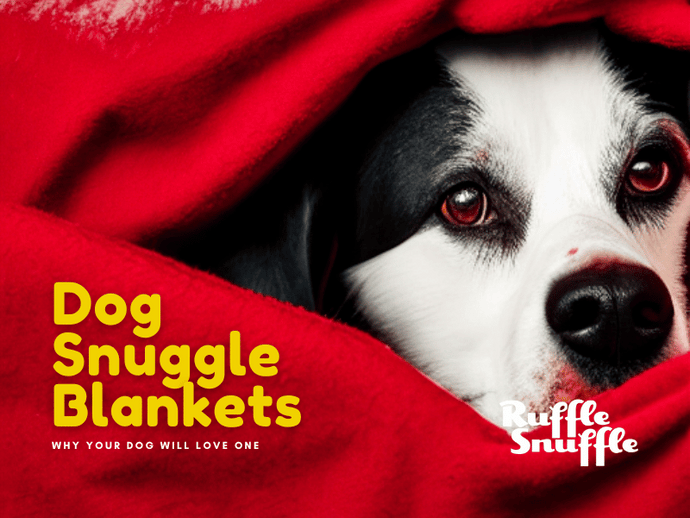 Every Dog Deserves a Snuggle Blanket