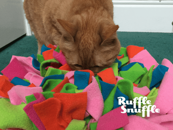 Can cats use snuffle mats too?