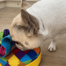 Load image into Gallery viewer, Happy Birthday / Gotcha Day Snuffle Cake