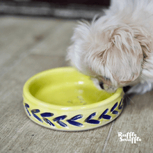 Load image into Gallery viewer, Carved Personalised Ceramic Dog Bowls