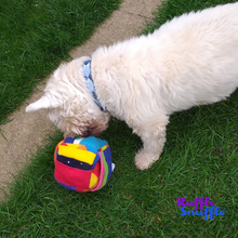 Load image into Gallery viewer, Challenger Cube™ - Snuffle Cube®
