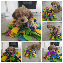 Load image into Gallery viewer, Choose your own colours Ruffle Snuffle mat