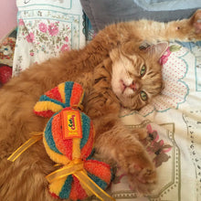 Load image into Gallery viewer, Cat Candy • Sweet - snuffle mat by Ruffle Snuffle