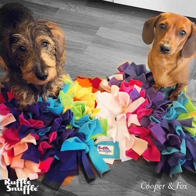 Ruffle Snuffle mats for dogs in Rainbow colours