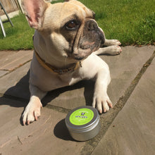Load image into Gallery viewer, Whiffy Dog natural skin & paw salve - snuffle mat by Ruffle Snuffle