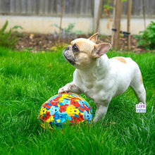 Load image into Gallery viewer, PetBloon - Dog Balloon Ball Enrichment Toy
