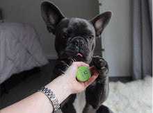 Load image into Gallery viewer, Whiffy Dog natural skin & paw salve - snuffle mat by Ruffle Snuffle