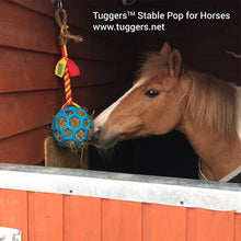 Load image into Gallery viewer, Stable Pop - Horse Ball - snuffle mat by Ruffle Snuffle
