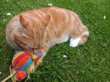 Load image into Gallery viewer, Cat Candy • Sweet - snuffle mat by Ruffle Snuffle