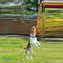 Load image into Gallery viewer, Tuggers Twist - snuffle mat by Ruffle Snuffle