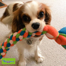 Load image into Gallery viewer, Tuggers Twist - snuffle mat by Ruffle Snuffle