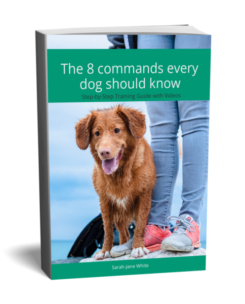 The 8 Commands Every Dog Should Know - Step-by-Step training with videos