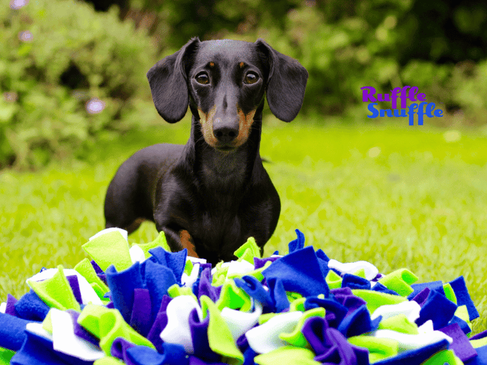 Top 5 Best Snuffle Mats and Enrichment Toys • Ruffle Snuffle
