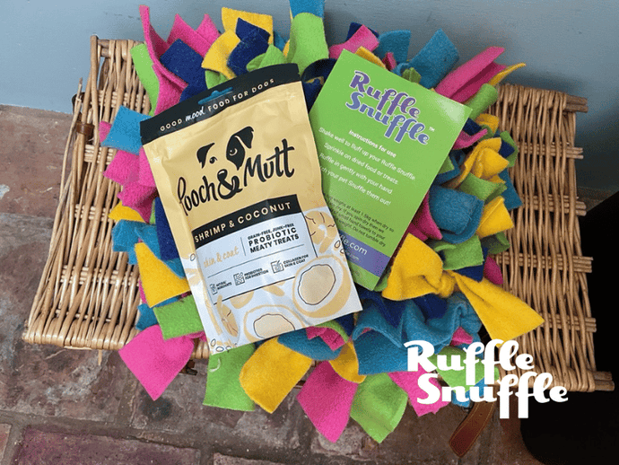Are snuffle mats good for dogs? Here's what you need to know
