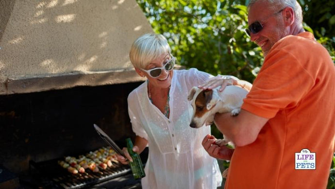 Almost two thirds of pet owners could be endangering pets by feeding them BBQ leftovers