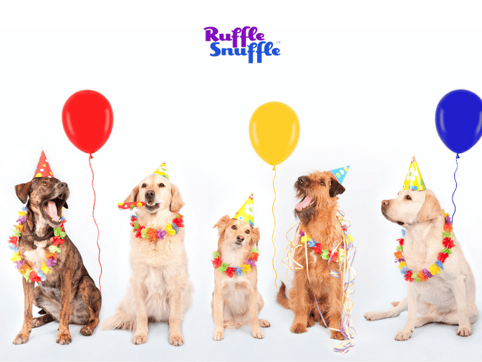 Expert's tips on throwing the paw-fect puppy party this summer!