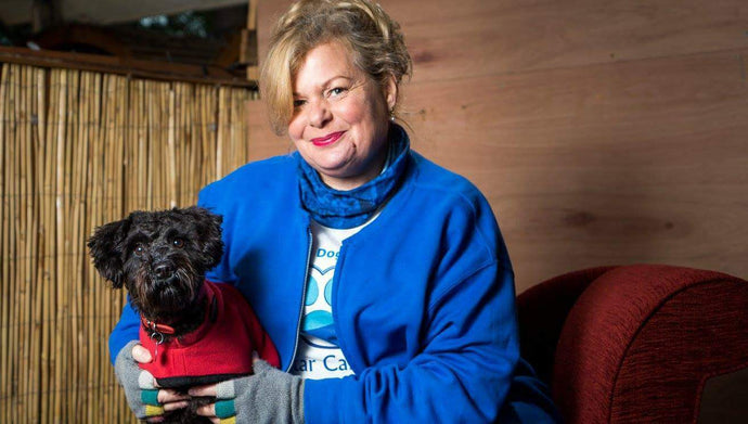 An interview with Julie from A Star Canine Spa