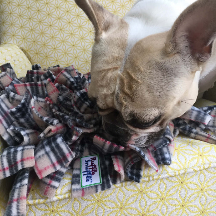 Dolly Approves of the new Ruffle Snuffle Harry snuffle mat