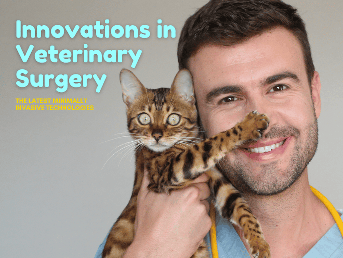 Innovations in Veterinary Surgery: The Latest Minimally Invasive Technologies