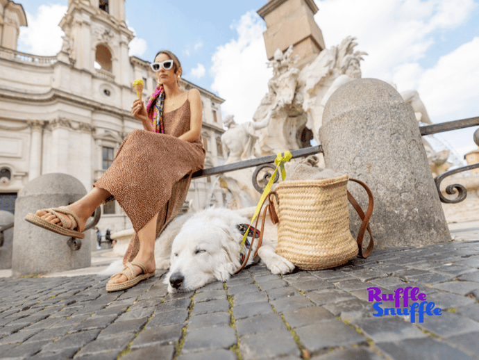 Is it a good idea to bring your dog with you on a city break?