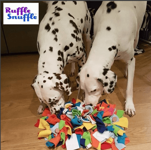 Ruby & Dotty the dalmatians show you how to share a snuffle mat