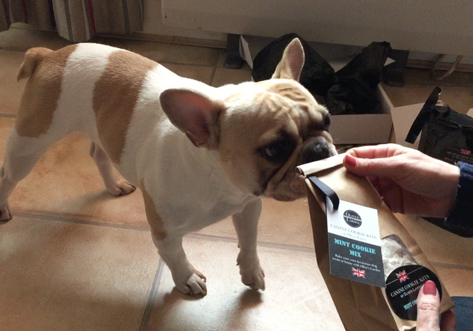 Dolly discovers... Olive's Larder