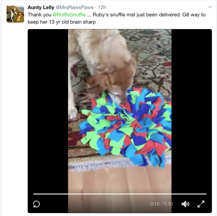 Oldies love Ruffle Snuffle Mats too