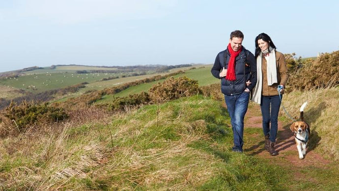 Celebrate International Dog Day with the Ultimate Walkies of the UK!