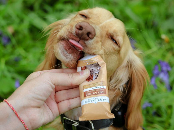 The Dog Days Of Summer Are Here!