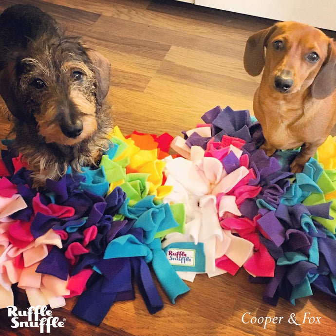 Snuffle mats for Dachshunds