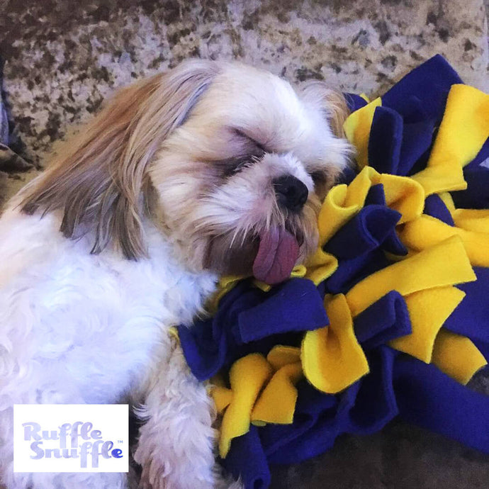 Henry loves his Ruffle Snuffle Buddy soooo much!