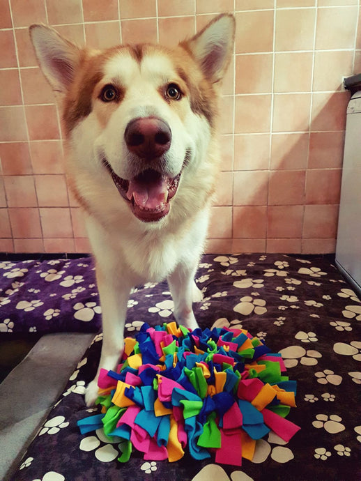 Indiana shows us just how happy she is with her Ruffle Snuffle mat