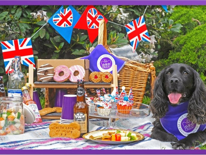 Planning the Perfect Pooch Picnic this Jubilee Weekend
