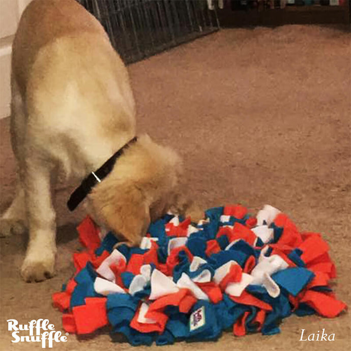 Laika the Golden Retriever pup and her Ruffle Snuffle mat