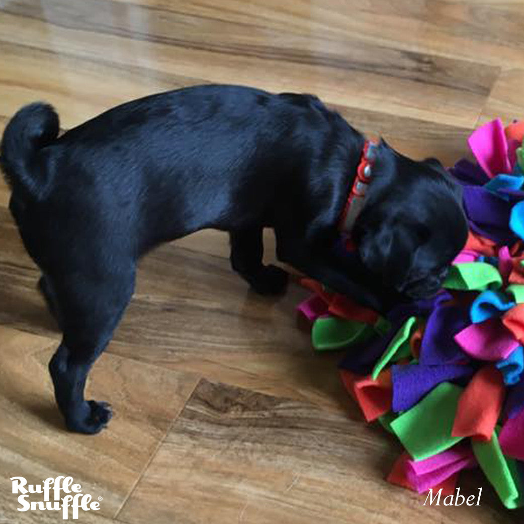 Snuffle mat for Pugs they love them! Ruffle Snuffle