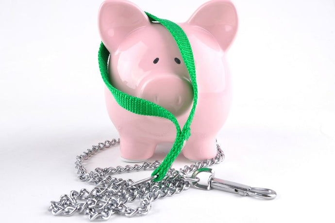 What Does Pet Insurance Cover?