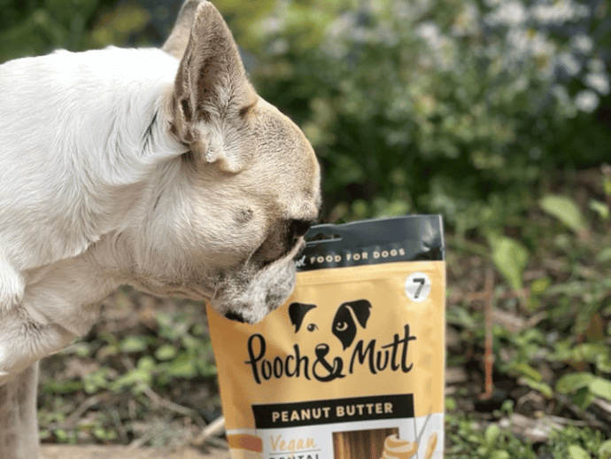 Pooch & Mutt: The Optimal Choice for Your Furry Friend's Health and Happiness