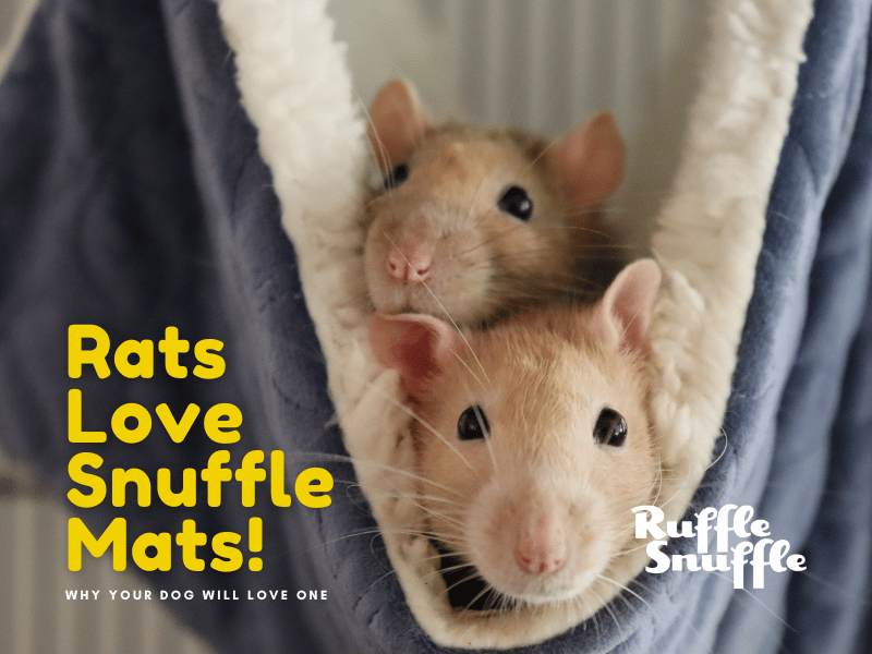 A Closer Look at Snuffle Mats for Rats – Ruffle Snuffle