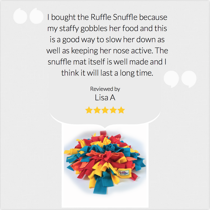 5 Stars from Lisa and her staffy!