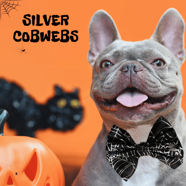 Halloween Bowties for Dogs