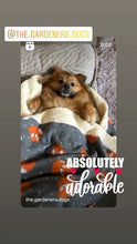 Load image into Gallery viewer, Snuggle Sacks / Burrow Bag / Sofa Sack for Dogs
