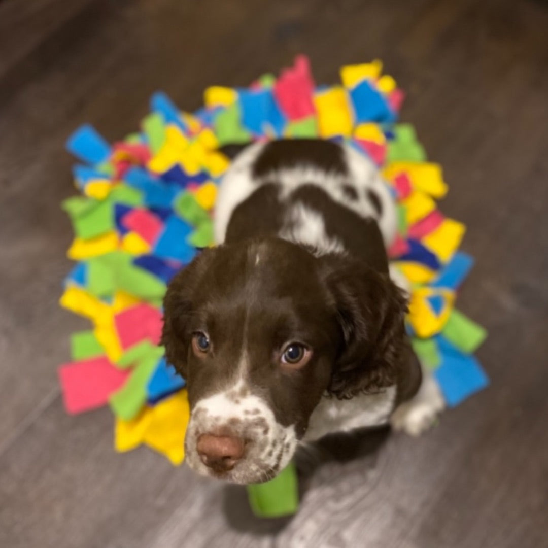 Snuffle Mat by Ruffle Snuffle - Magic Colours