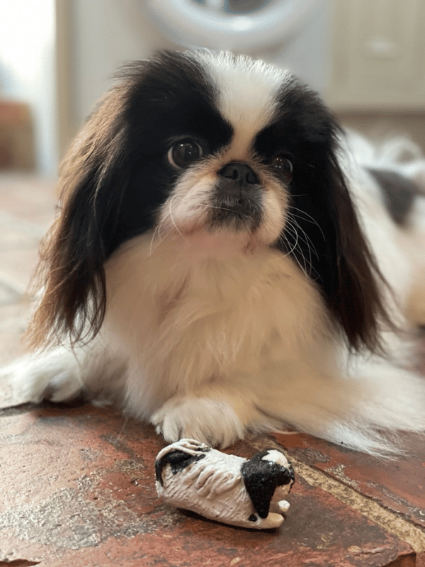 Handmade Ceramic Pet Miniatures: Cherish Your Friends Forever