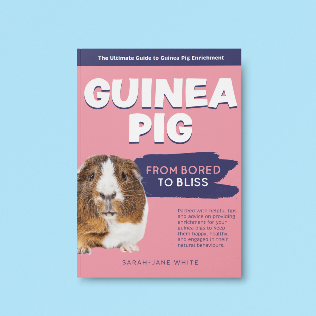 The Ultimate Guide to Guinea Pig Enrichment