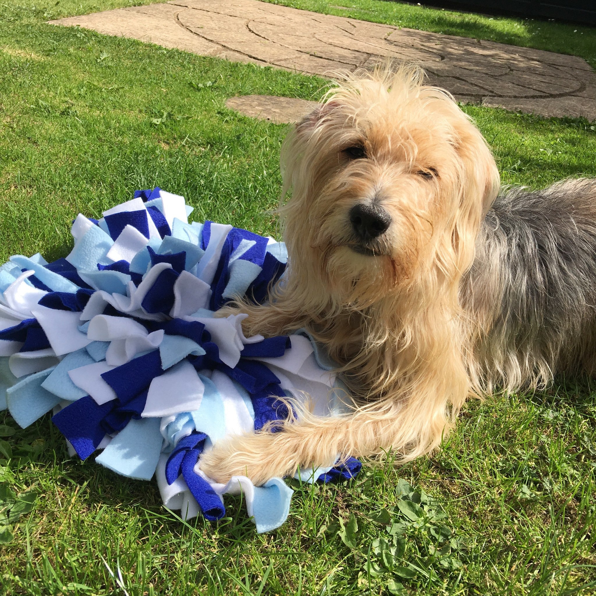 Choose your own coloured Snuffle Mat • Ruffle Snuffle