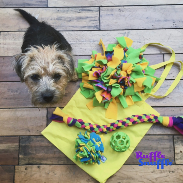 Enrichment Travel Pack For Dogs on Holiday