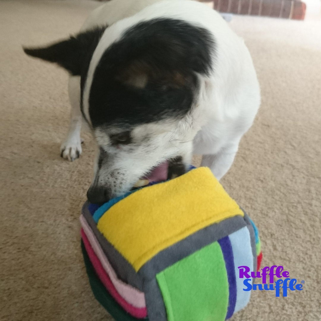 Snuffle Mats and Pet Enrichment Toys by Ruffle Snuffle