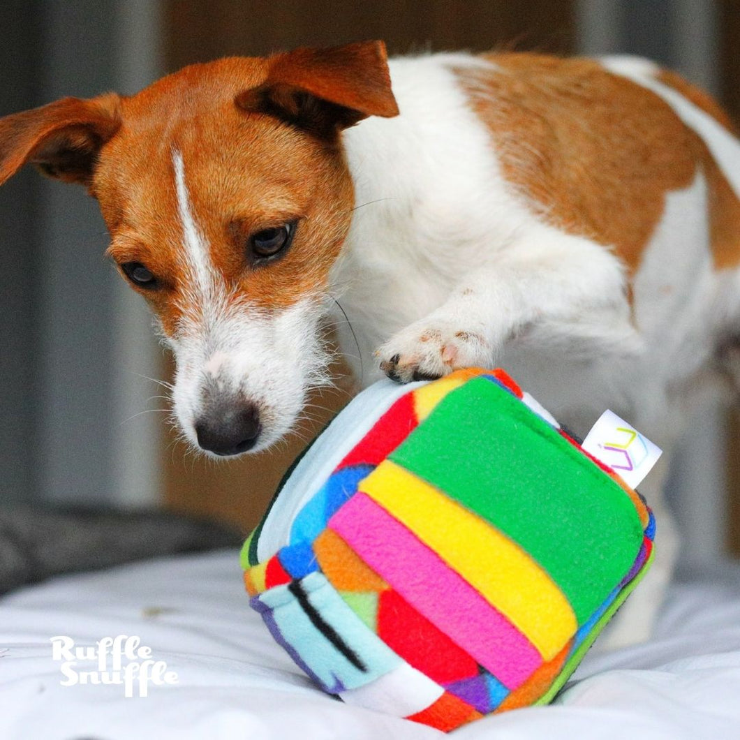 Challenger Cube™ - Snuffle Cube® collection – Ruffle Snuffle