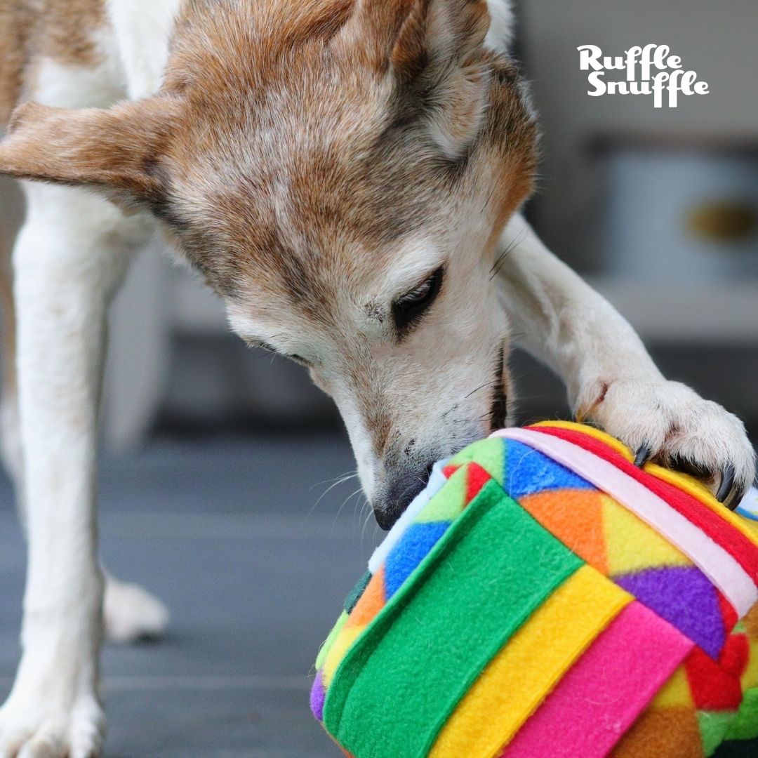 Snuffle Puzzle Mat for Dog Treats or Food Encourages Natural Foraging –  DogToyStuffz